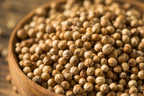 Coriander