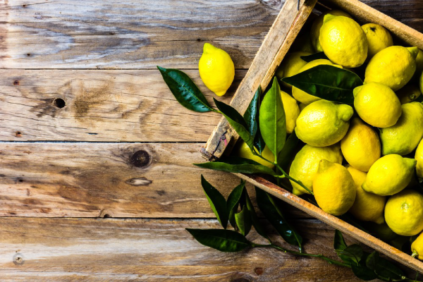 HH-importexport-Lemon