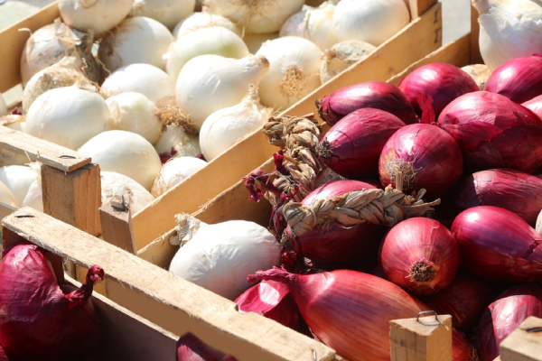 HH-importexport-Onion