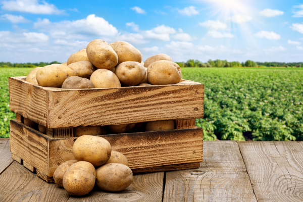 HH-importexport-Potato