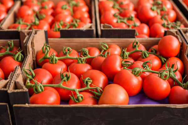 HH-importexport Tomato